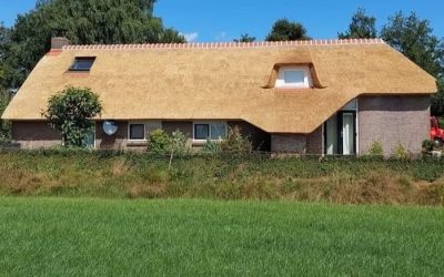 Screenshot_20250515_231844_edit_1026978787470443