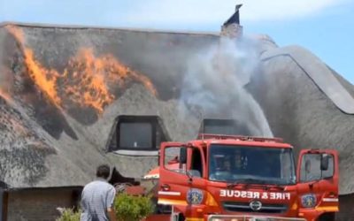 Screenshot_20250515_234807_edit_1026657523969731